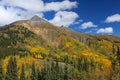 Colorado Rocky Mountain Forest canopy of fall clors of gold and yellow aspen trees