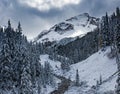 Colorado Rocky Mountain Winter Scenery. Near Telluride Colorado Royalty Free Stock Photo