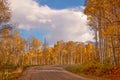 autumn in the rocky mountains of Colorado. Kebler Pass near Crested Butte, Colorado Royalty Free Stock Photo
