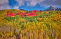 autumn in the rocky mountains of Colorado. Kebler Pass near Crested Butte, Colorado Royalty Free Stock Photo