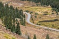 Colorado rocky mountains - independence pass Royalty Free Stock Photo