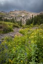 Colorado rocky mountains landscape with wildflower meadow Royalty Free Stock Photo