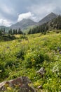 Colorado rocky mountains with wildflower meadow in summer time Royalty Free Stock Photo