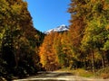 Colorado's Mount Princeton Framed in Autumn Colors