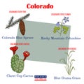 Colorado. Set of USA official state symbols