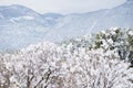 Colorado Springs Pikes Peak Range Winter Snow Royalty Free Stock Photo