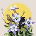 Colorado State Birds Flowers Drawing Royalty Free Stock Photo