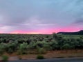 Colorado sunset sagebrush colors