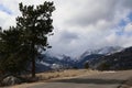 Colorado Trees and snow Mountain