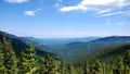 Colorado view pine trees