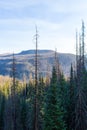 Colorado Weminuche Wilderness Scenery Royalty Free Stock Photo