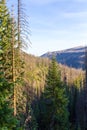 Colorado Weminuche Wilderness Scenery Royalty Free Stock Photo