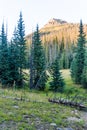 Colorado Weminuche Wilderness Scenery Royalty Free Stock Photo