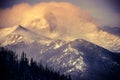 Colorado Winter Landscape Royalty Free Stock Photo