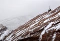 Colorado winter landscape in snow storm Royalty Free Stock Photo