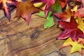 Colored autumn leaves of maple tree on olive wood background Royalty Free Stock Photo
