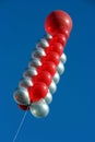 Colored balloons Royalty Free Stock Photo