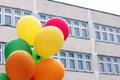 Colored balloons on the background of the school building. Back to school concept