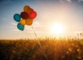 Colored balloons over firld