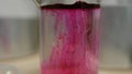 Colored beautiful chemical reaction in flask. Pink or red liquid dissolves in flask. Pink matter in the flask. Pink or Royalty Free Stock Photo