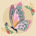 Colored beauty butterfly Cute insect Vector Royalty Free Stock Photo