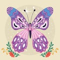 Colored beauty butterfly Cute insect Vector Royalty Free Stock Photo