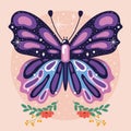 Colored beauty butterfly Cute insect Vector Royalty Free Stock Photo