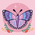 Colored beauty butterfly Cute insect Vector Royalty Free Stock Photo