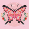 Colored beauty butterfly Cute insect Vector Royalty Free Stock Photo