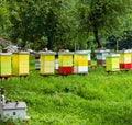 Colored bee houses on meadow in countryside of Montenegro Royalty Free Stock Photo