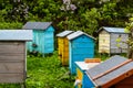 Colored beehive farm boxes for the production of honey. Row of colorful Vintage wooden beehives stay on apiary. Honey healthy food