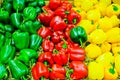 Colored bell pepper paprika Royalty Free Stock Photo