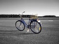 Colored bicycle, monochrome background