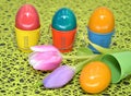 Colored bird eggs scenery