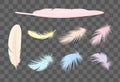 Colored bird feathers realistic transparent set isolated