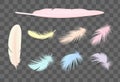 Colored Transparent Feathers Set Royalty Free Stock Photo