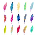 Colored bird feathers set. Bright green fluff design with red tints and soft blue contrast beautiful natural purple Royalty Free Stock Photo