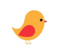 Colored Bird vector illustration