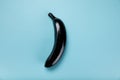 Colored black banana isolated on blue, colorful background