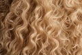 Colored Blonde curly hair texture background, hair care concept.