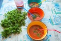 Colored bowls of tomato gazpacho soup and jug of tomato juice Royalty Free Stock Photo