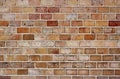 Colored brick wall Royalty Free Stock Photo