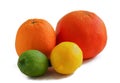 Colored bright whole citrus fruits on a white background