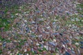 Colored brown, blue, light, dark sea pebbles laid out on the track