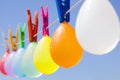 Colored bunch of balloons hanging on a clothesline