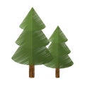 Colored canadian evergreen tree pine