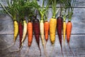 Colored carrots on wooden table, rainbow carrots in a row, overhead flat lay Royalty Free Stock Photo