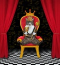 Cat colored with scepter in red throne 2 Royalty Free Stock Photo