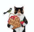 Cat colored holds basket of strawberries Royalty Free Stock Photo