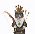 Cat colored indian holds arrows and bow